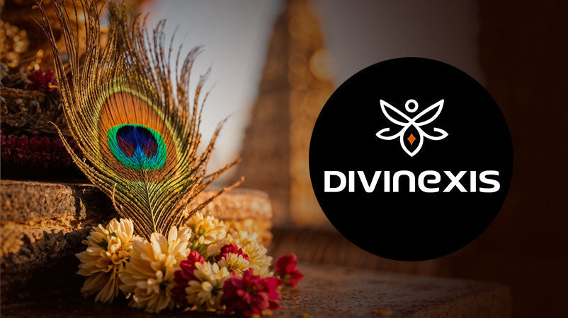 Why Choose Divinexis? What Makes Us Different